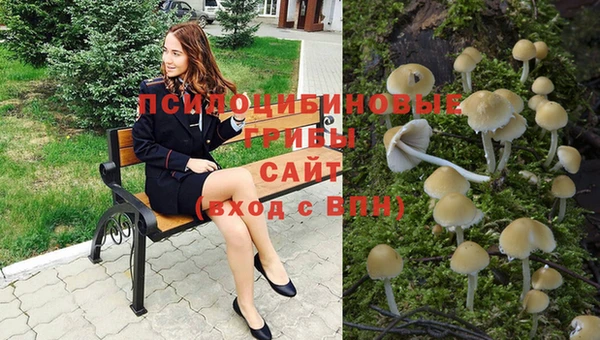 соль ск Сафоново
