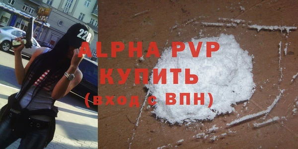 прущие грибы Богородск