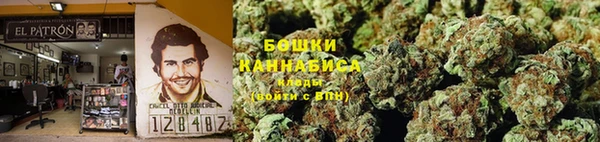 трава Беломорск