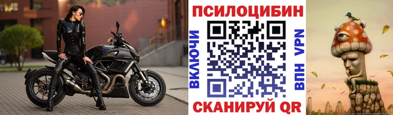 купить закладку  shop формула  Псилоцибиновые грибы GOLDEN TEACHER  Мамадыш 