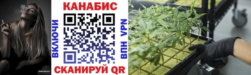 Бошки Шишки план  hydra сайт  Мамадыш 